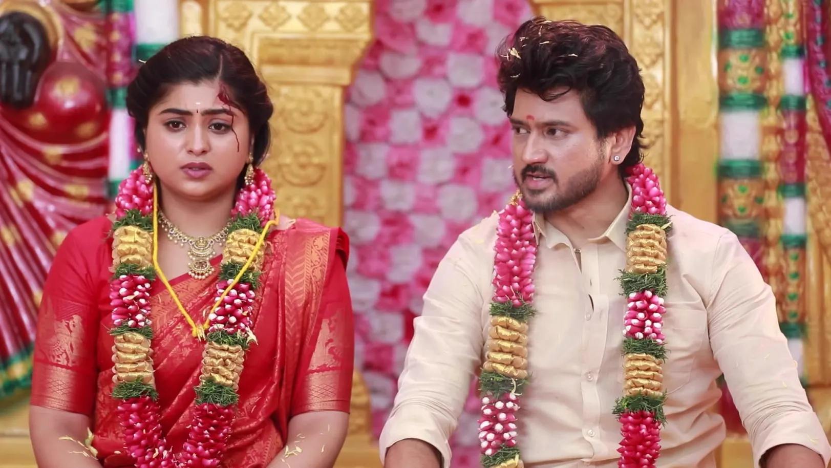 Varisu - 18 November, 2025