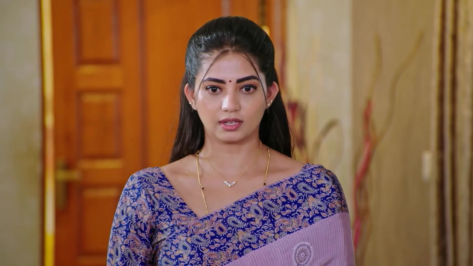 Lakshmi Nivasa - November 17, 2025 - Webisode 17th November 2025 Webisode