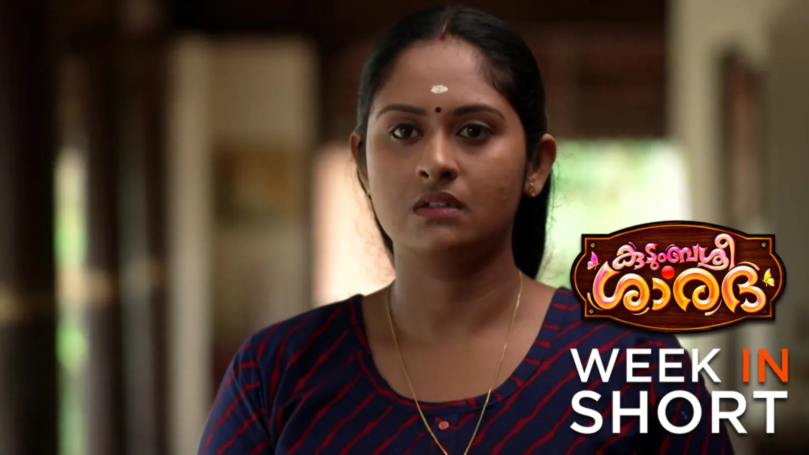 Kudumbashree Sharada | November 10 - November 16, 2025 17th November 2025 Webisode