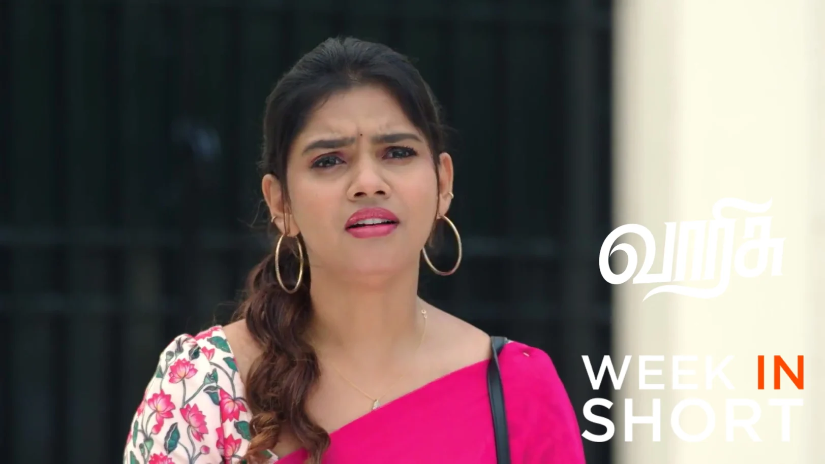 Varisu | November 17  - November 22, 2025 23rd November 2025 Webisode