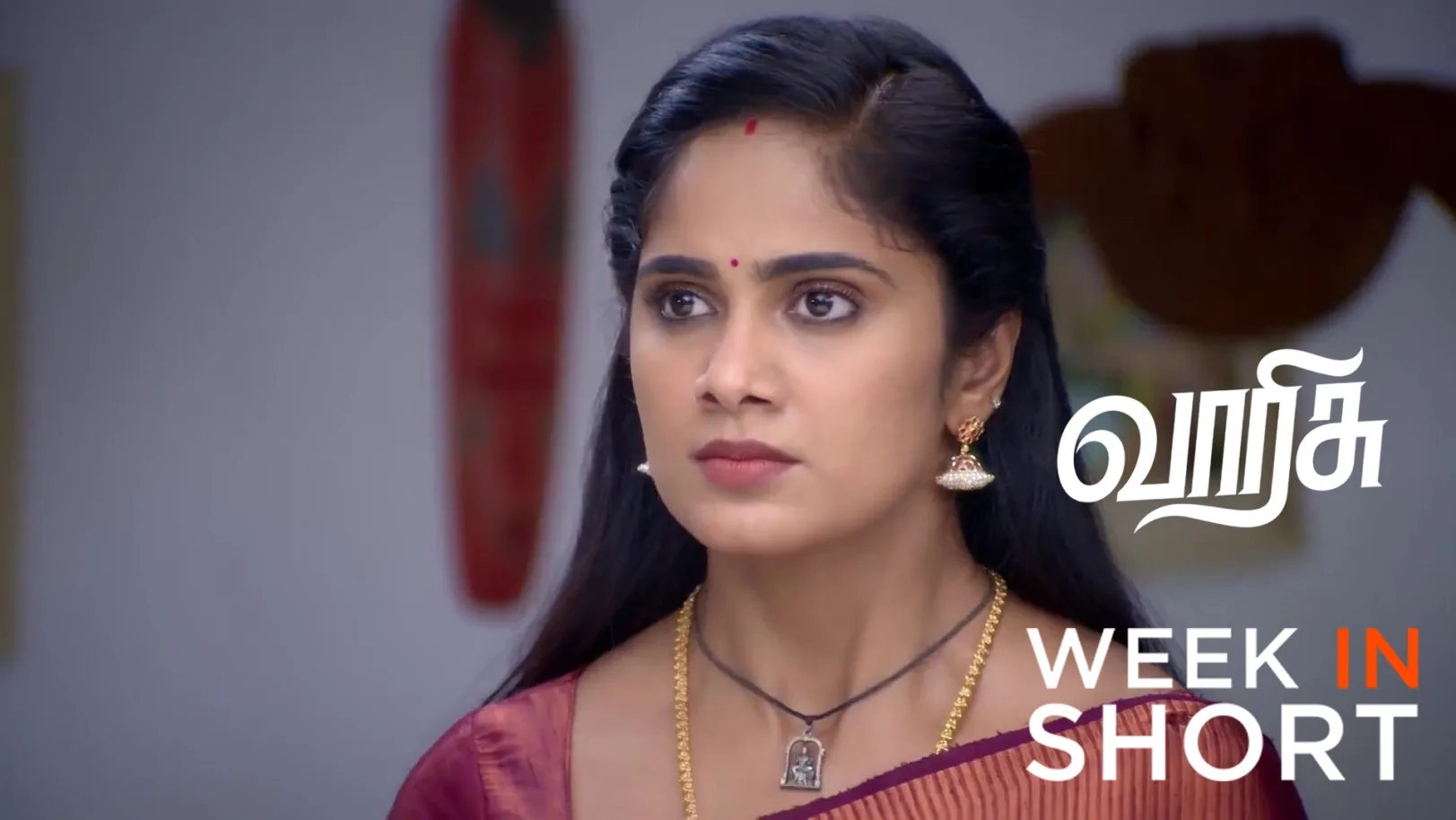 Varisu | November 17  - November 22, 2025 23rd November 2025 Webisode