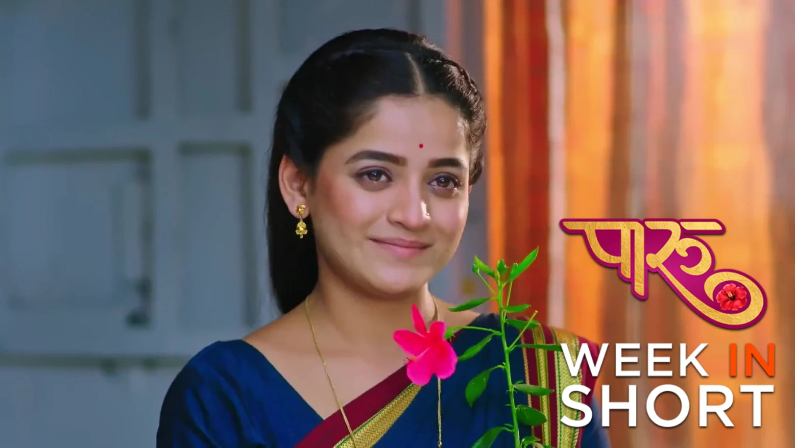 Paaru | November 17 - November 23, 2025 24th November 2025 Webisode