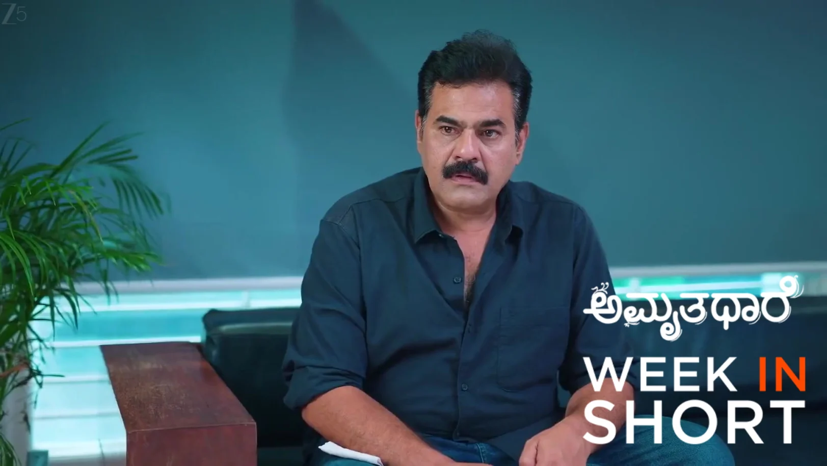 Amruthadhaare | November 24 - November 30, 2025 1st December 2025 Webisode