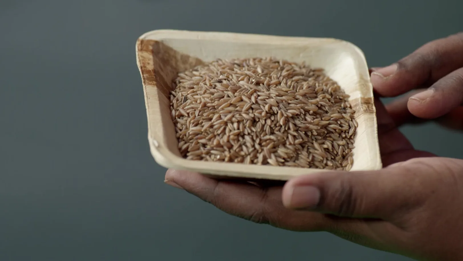 Olimayamana Ethirkaalam - December 05, 2025 - Recipe Olimayamana Ethirkaalam - December 05, 2025 - Recipe