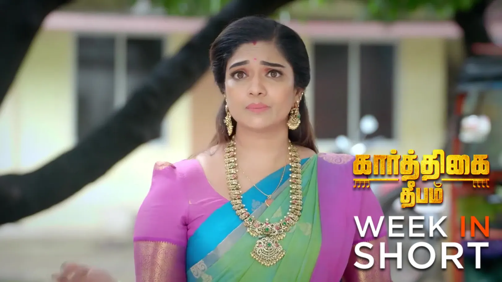 Karthigai Deepam | December 01 - December 06, 2025 7th December 2025 Webisode