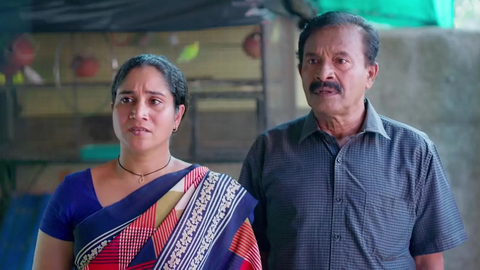 KrishnaGadha - December 28, 2025 - Webisode 28th December 2025 Webisode