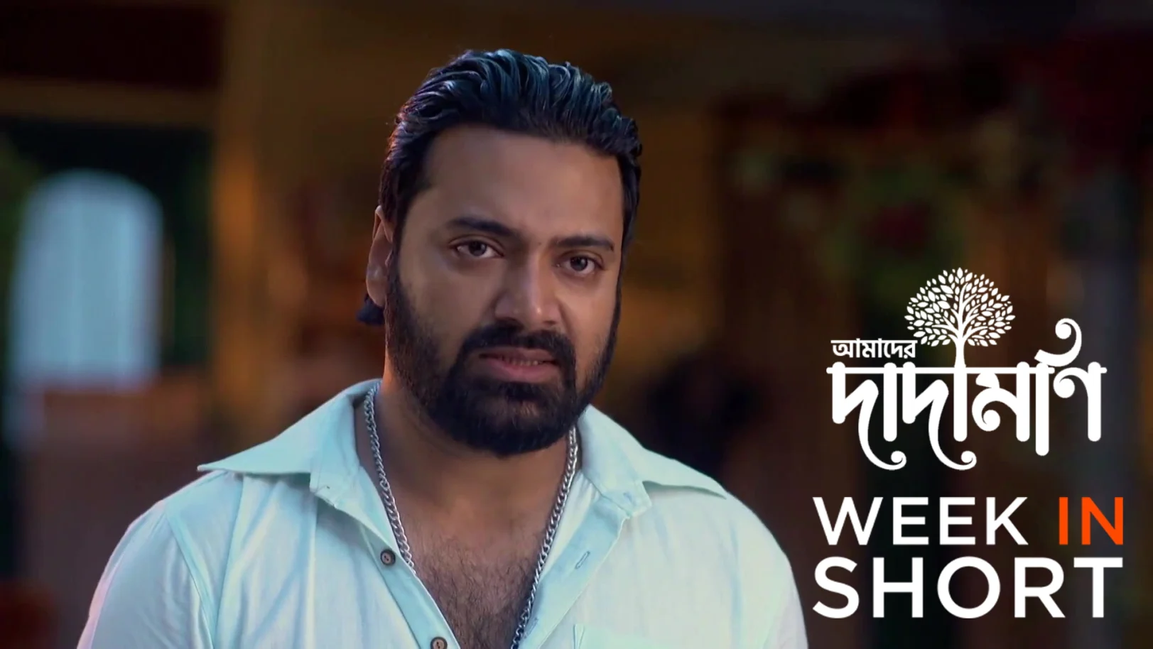 Amader Dadamoni | December 29 2025 - January 03, 2026 4th January 2026 Webisode