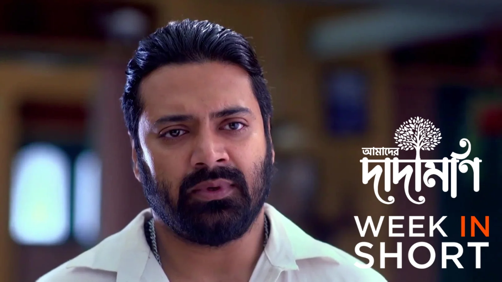 Amader Dadamoni | January 12 - January 17, 2026 18th January 2026 Webisode