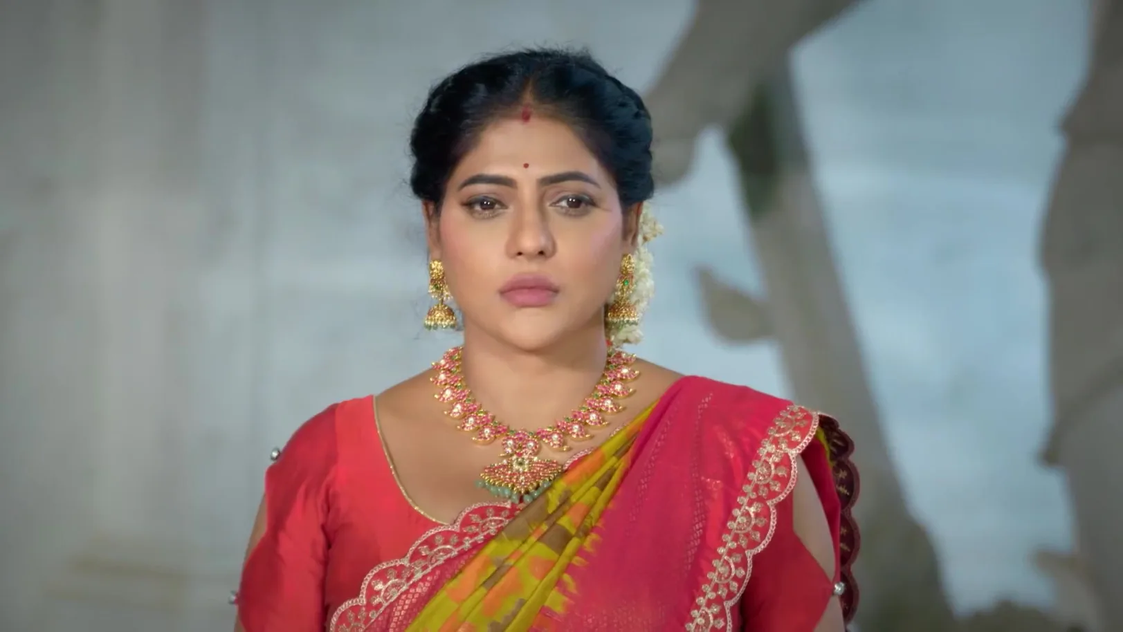 Karthigai Deepam - January 28, 2026 - Webisode 28th January 2026 Webisode