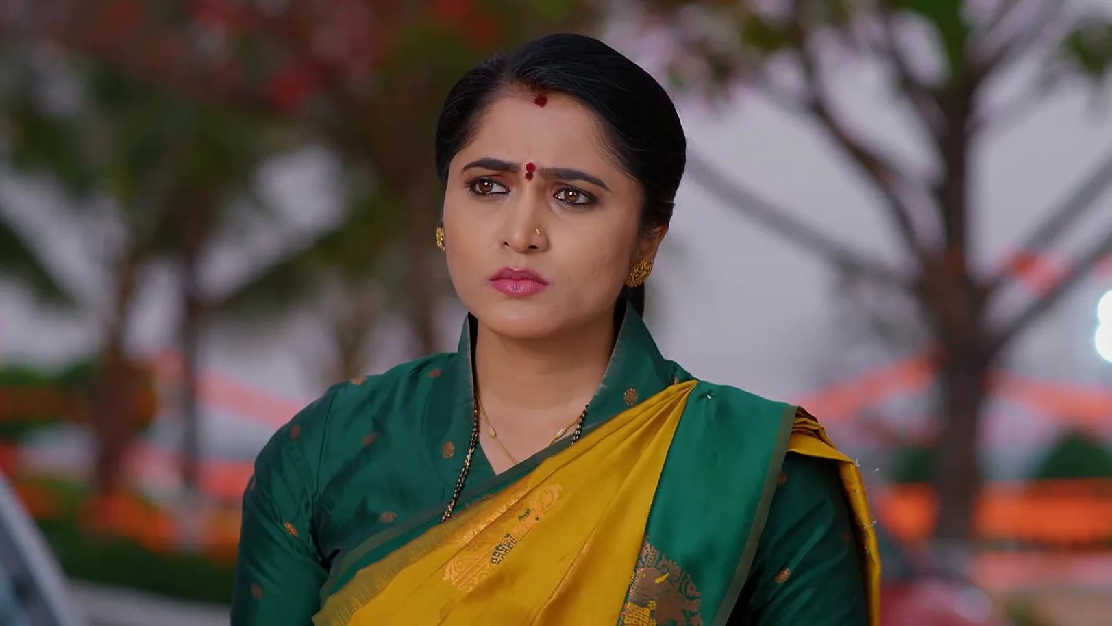 Meghasandesam - February 13, 2026 - Episode Spoiler