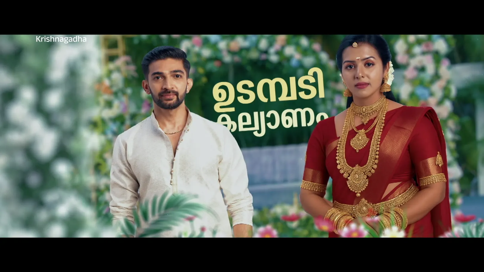 Sithara Tells Krishna about Her Task - KrishnaGadha - Promo