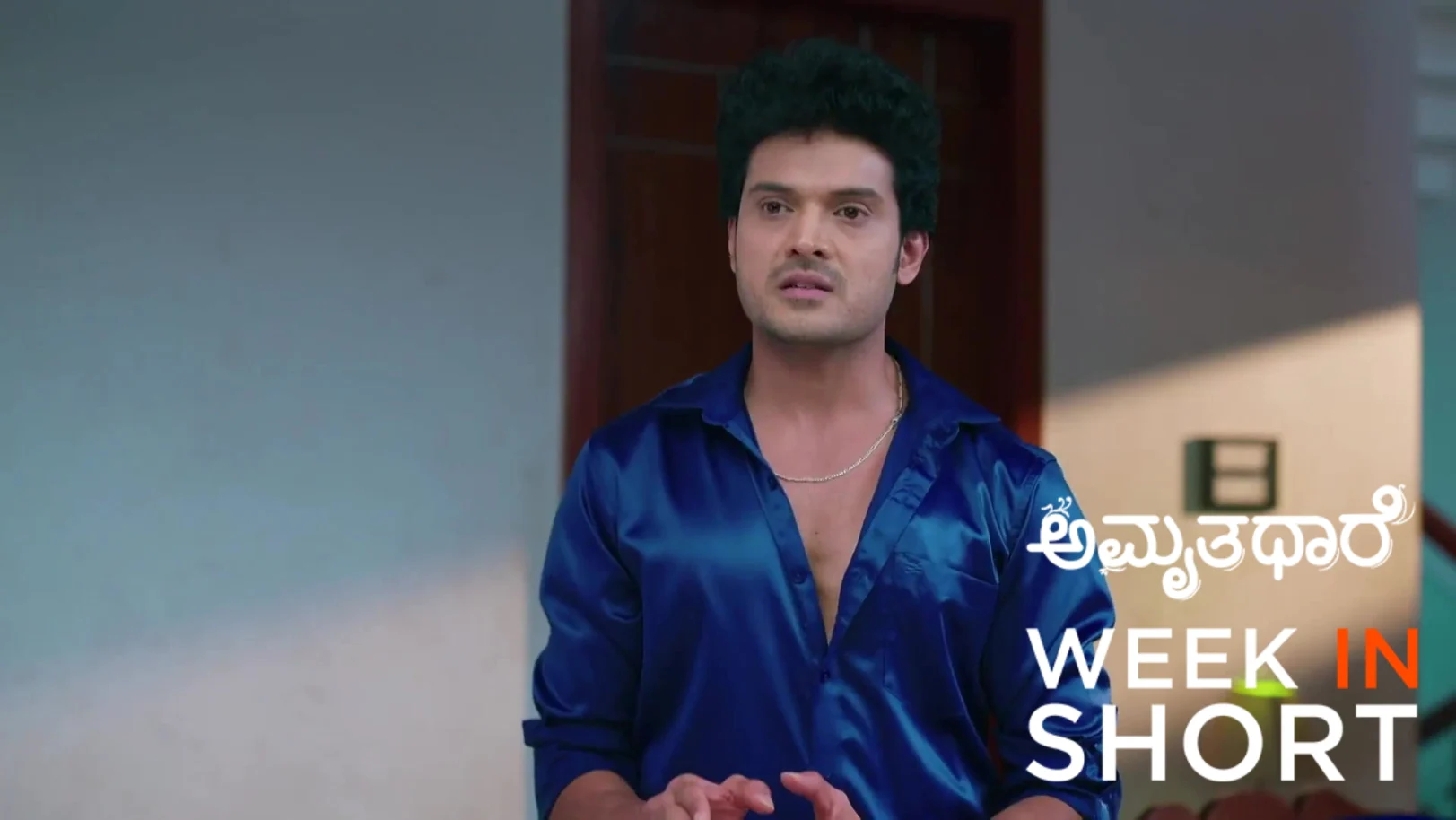 Amruthadhaare | February 09 - February 13, 2025 14th February 2026 Webisode