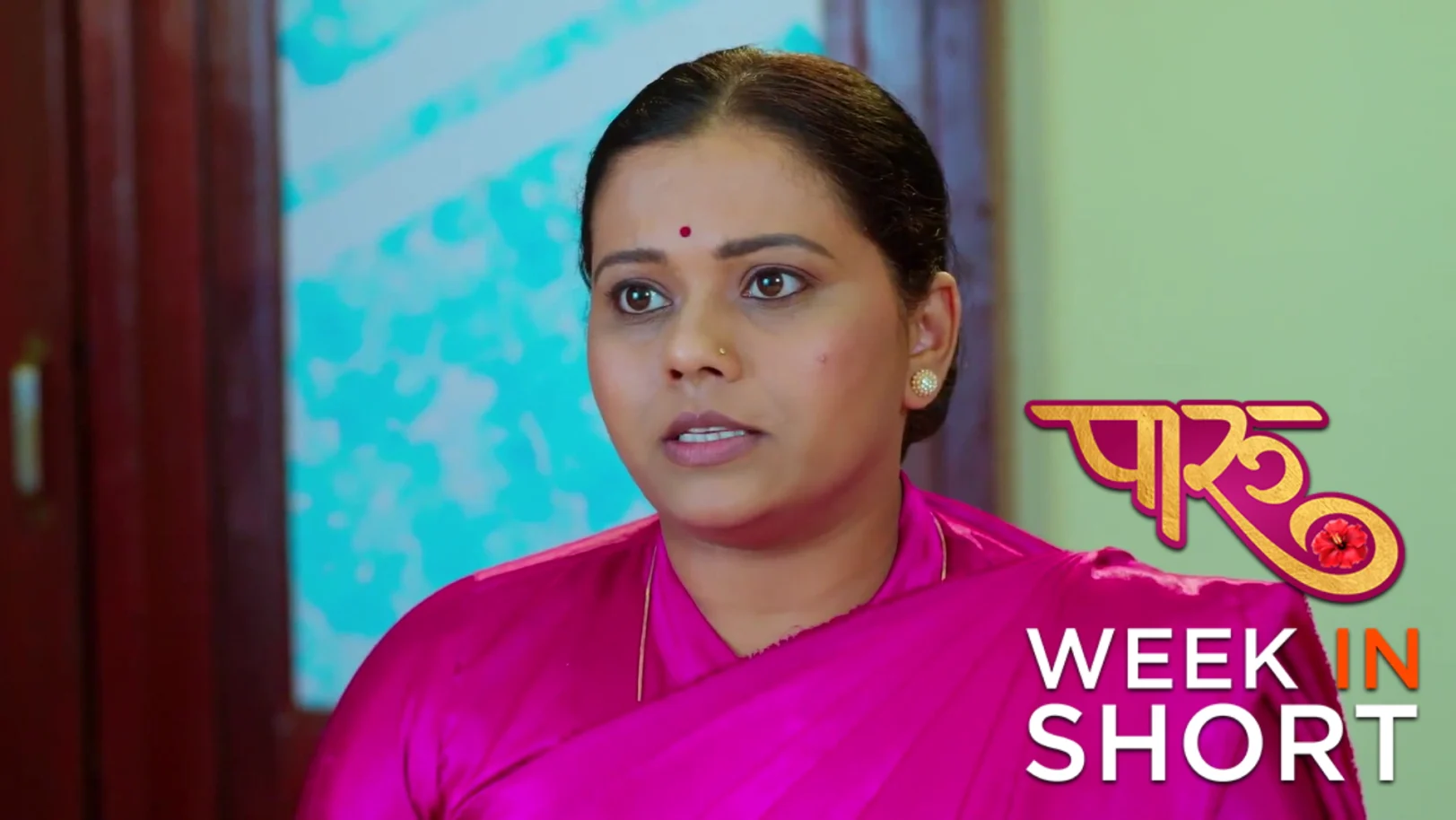 Paaru | February 09 - February 13, 2026 14th February 2026 Webisode