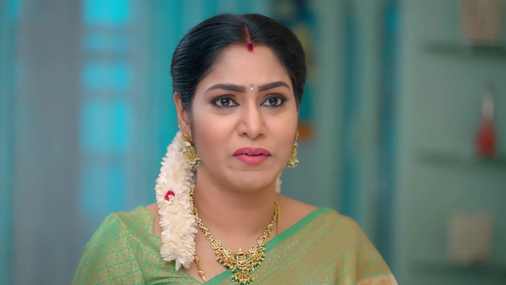 Selvanayagi Waits for Siva and Ayali's Departure 24th February 2026 Webisode