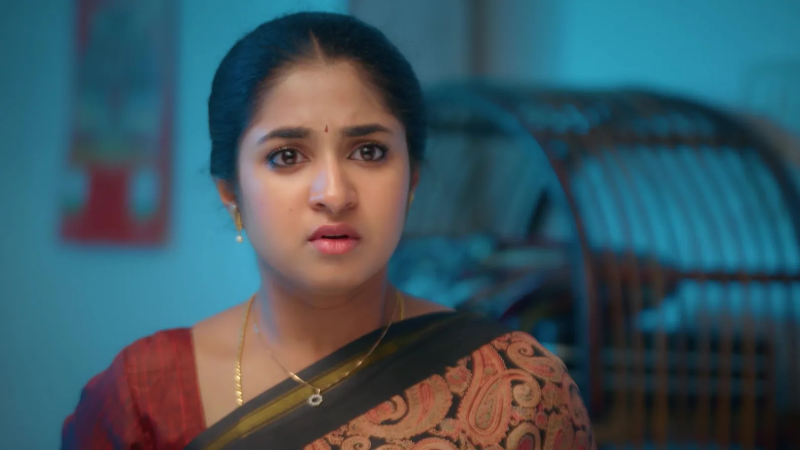 Chinnan Siru Kiliye - 24 February, 2026