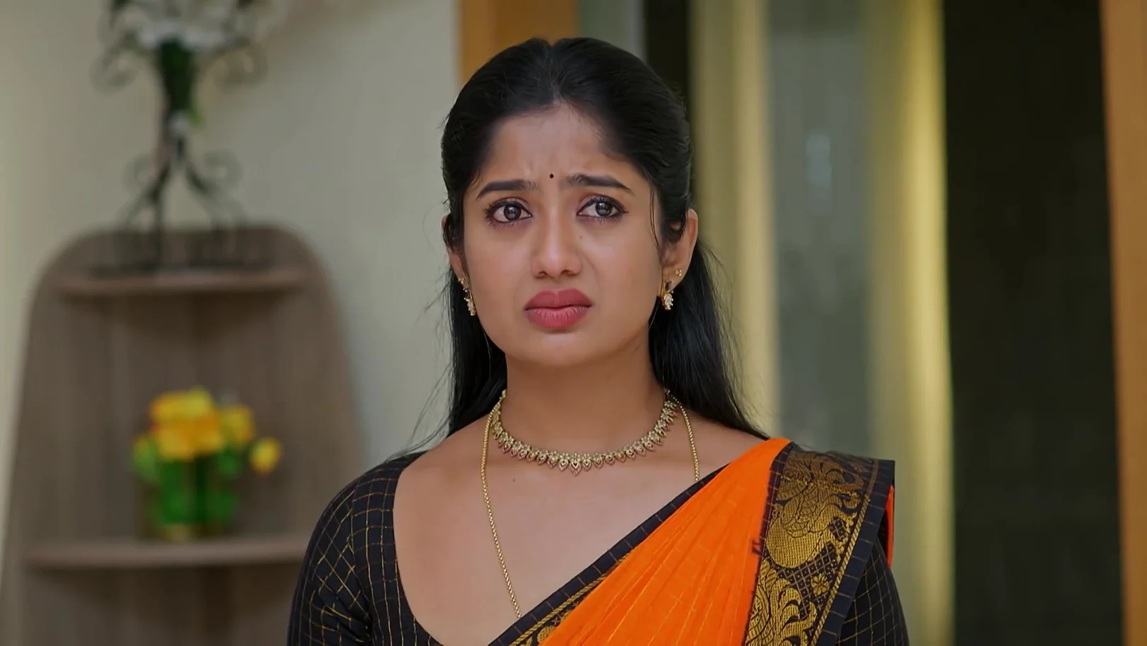 The Fake Video Revelation - Sandhyaraaga 