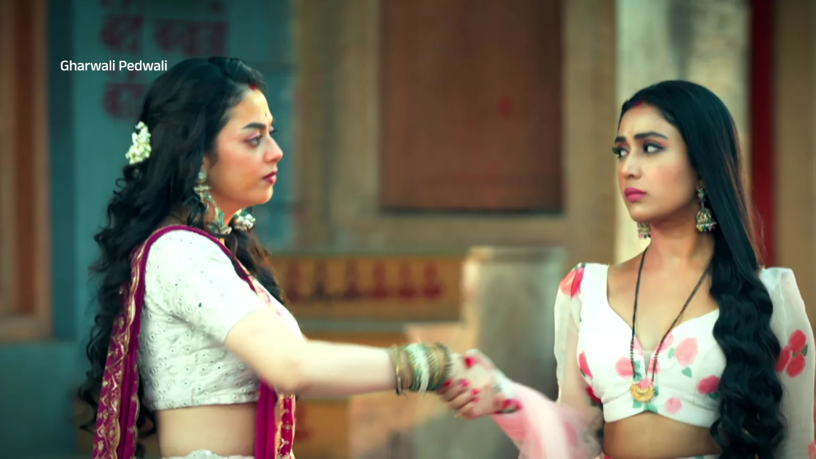 Gharwali Pedwali - Promo