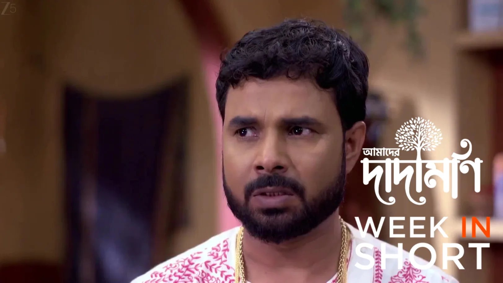 Amader Dadamoni | March 09 - March 13, 2026 14th March 2026 Webisode