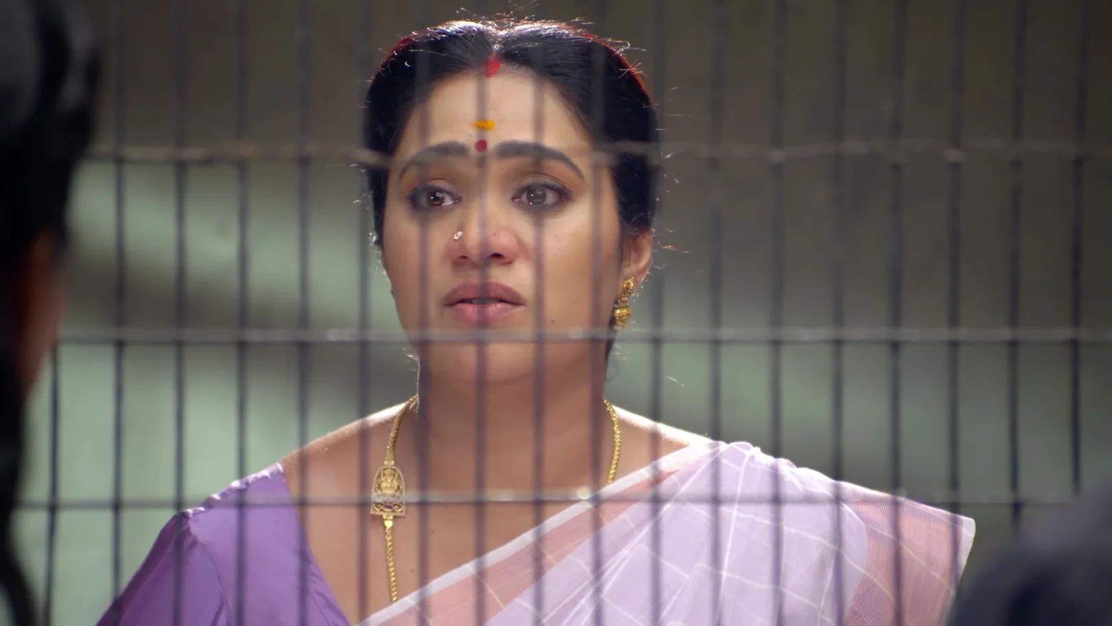 Sandhya Raagam - 15 April, 2026