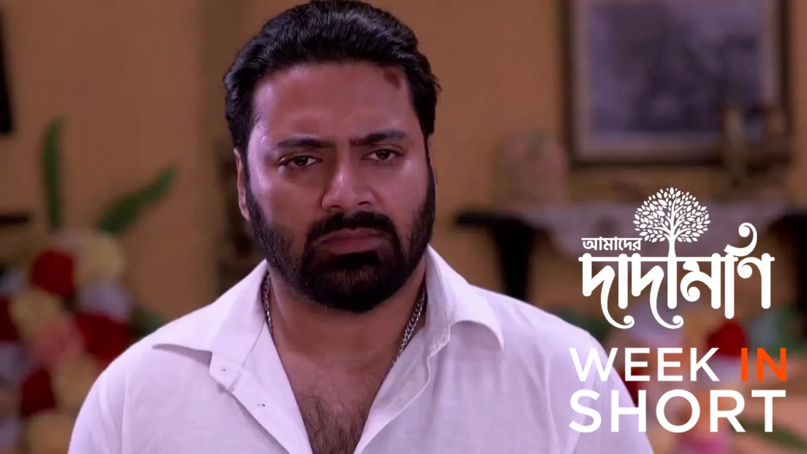 Amader Dadamoni | April 13 - April 17, 2026 undefined Webisode