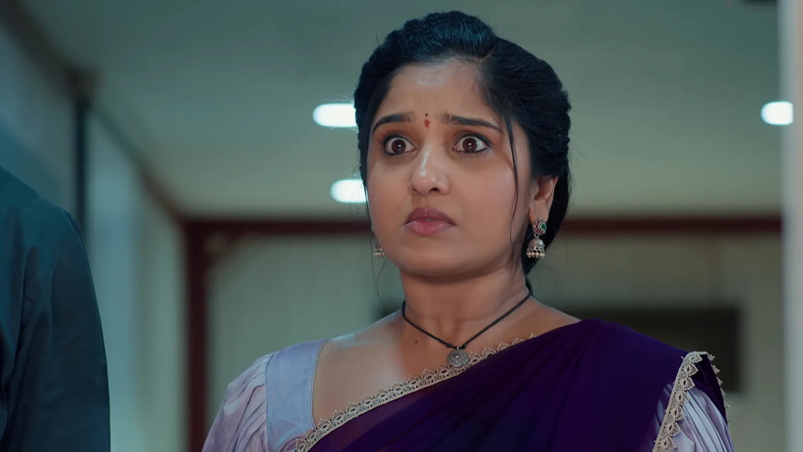 Chamanthi - May 16, 2026 - Episode Spoiler