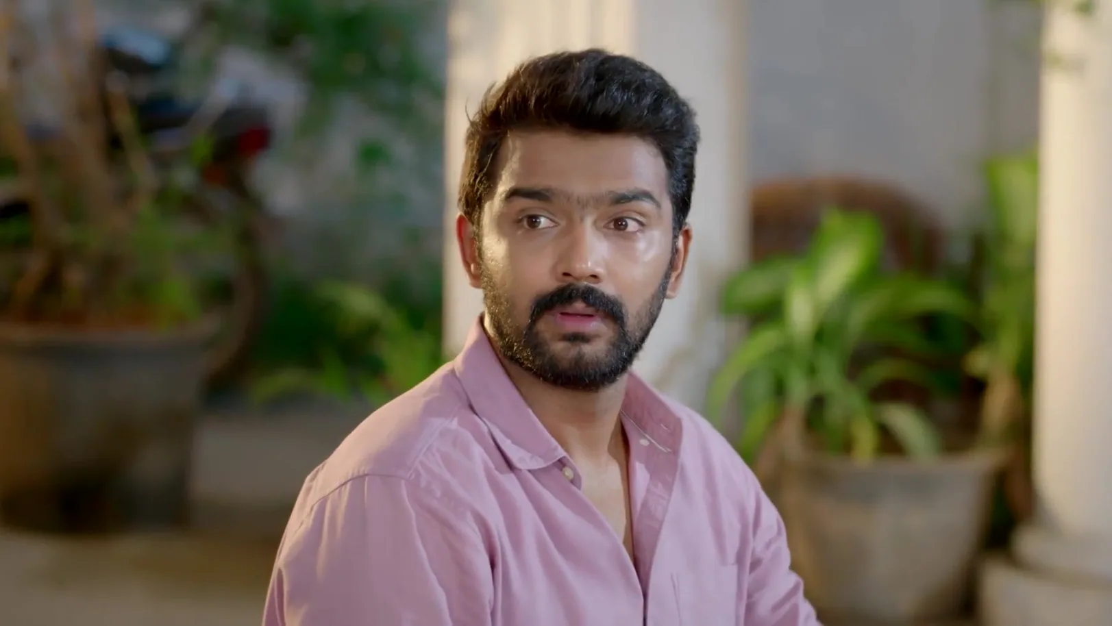 Ayali - May 25, 2026 - Best Scene 