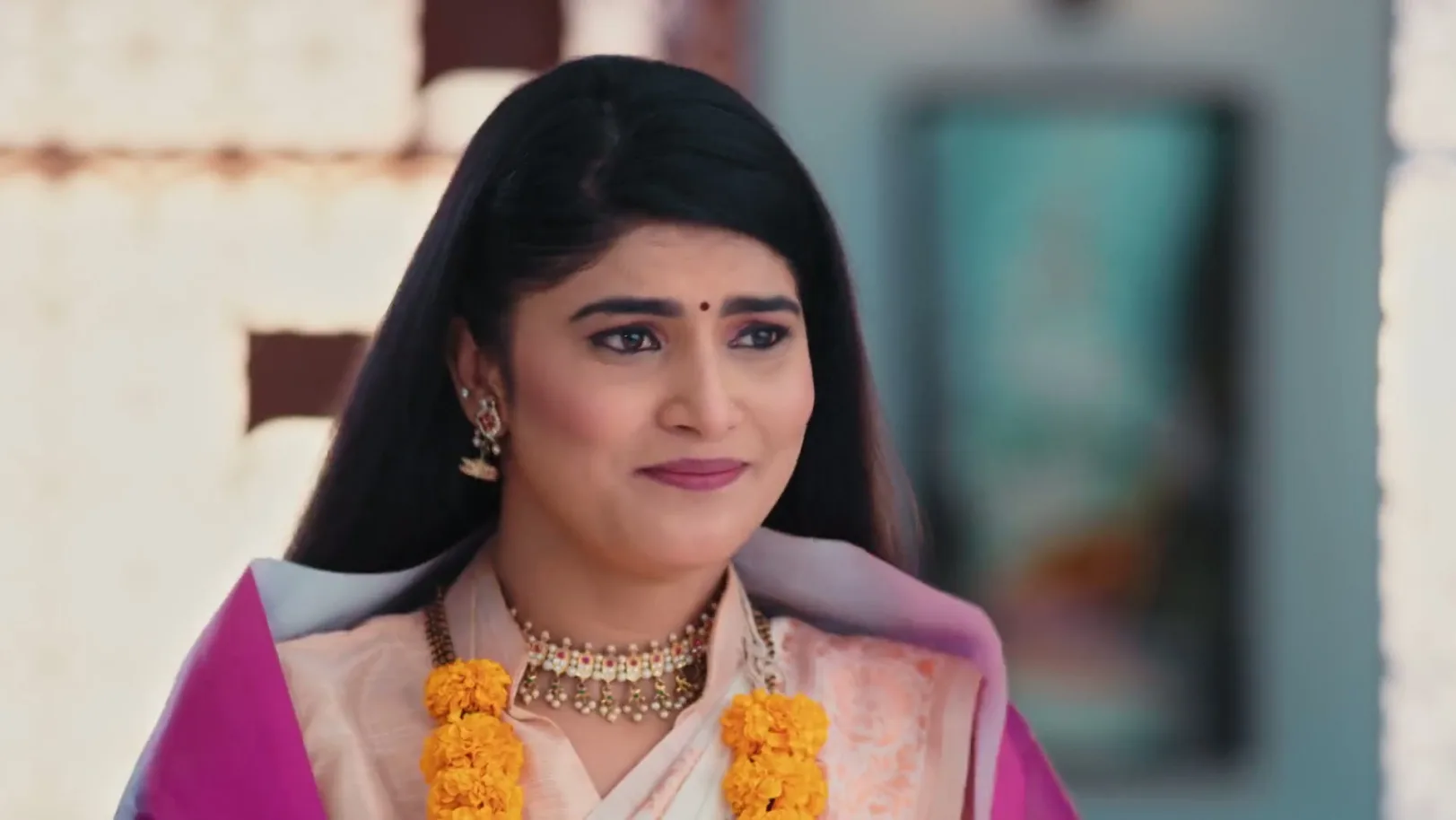 Lakshmi Niwas - June 24, 2026 - Webisode 24th June 2026 Webisode