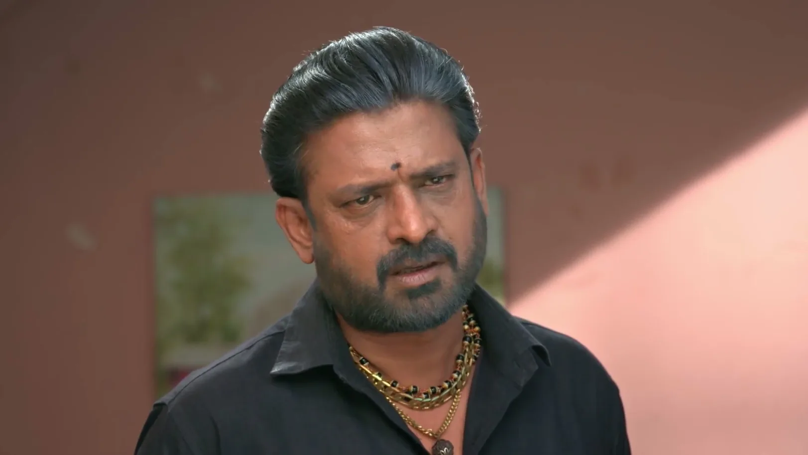 Chinnan Siru Kiliye - June 24, 2026 - Webisode 24th June 2026 Webisode