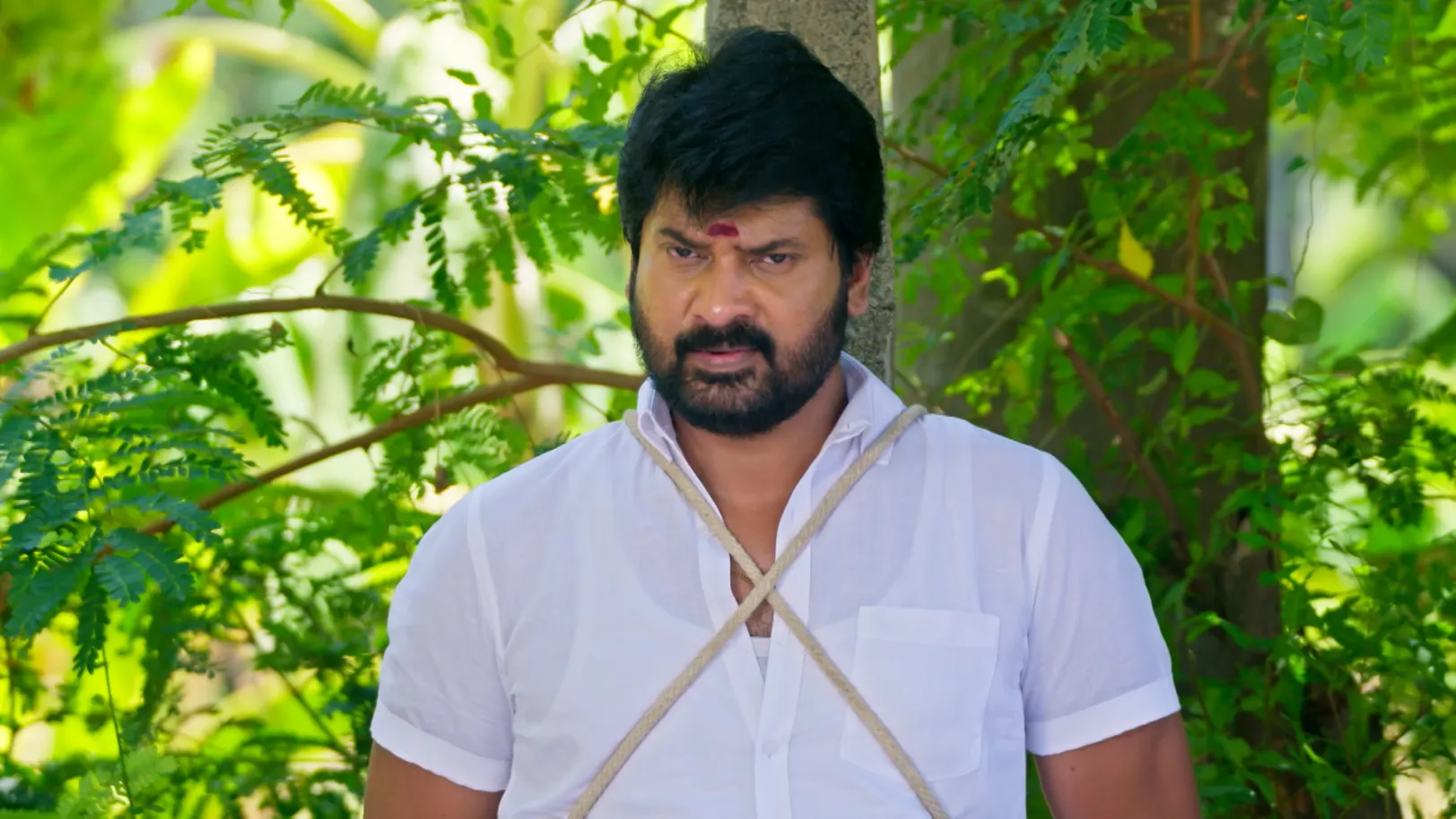 Karthigai Deepam - July 04, 2026 - Webisode 4th July 2026 Webisode