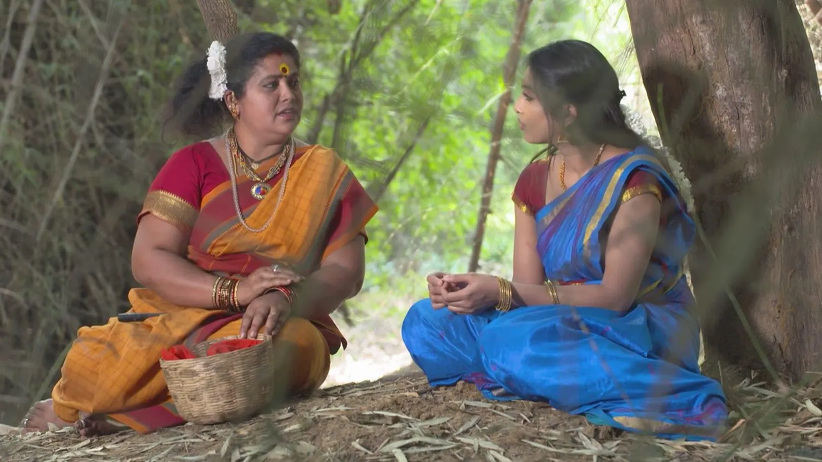 Astrologer predicts Vasundhara's future 