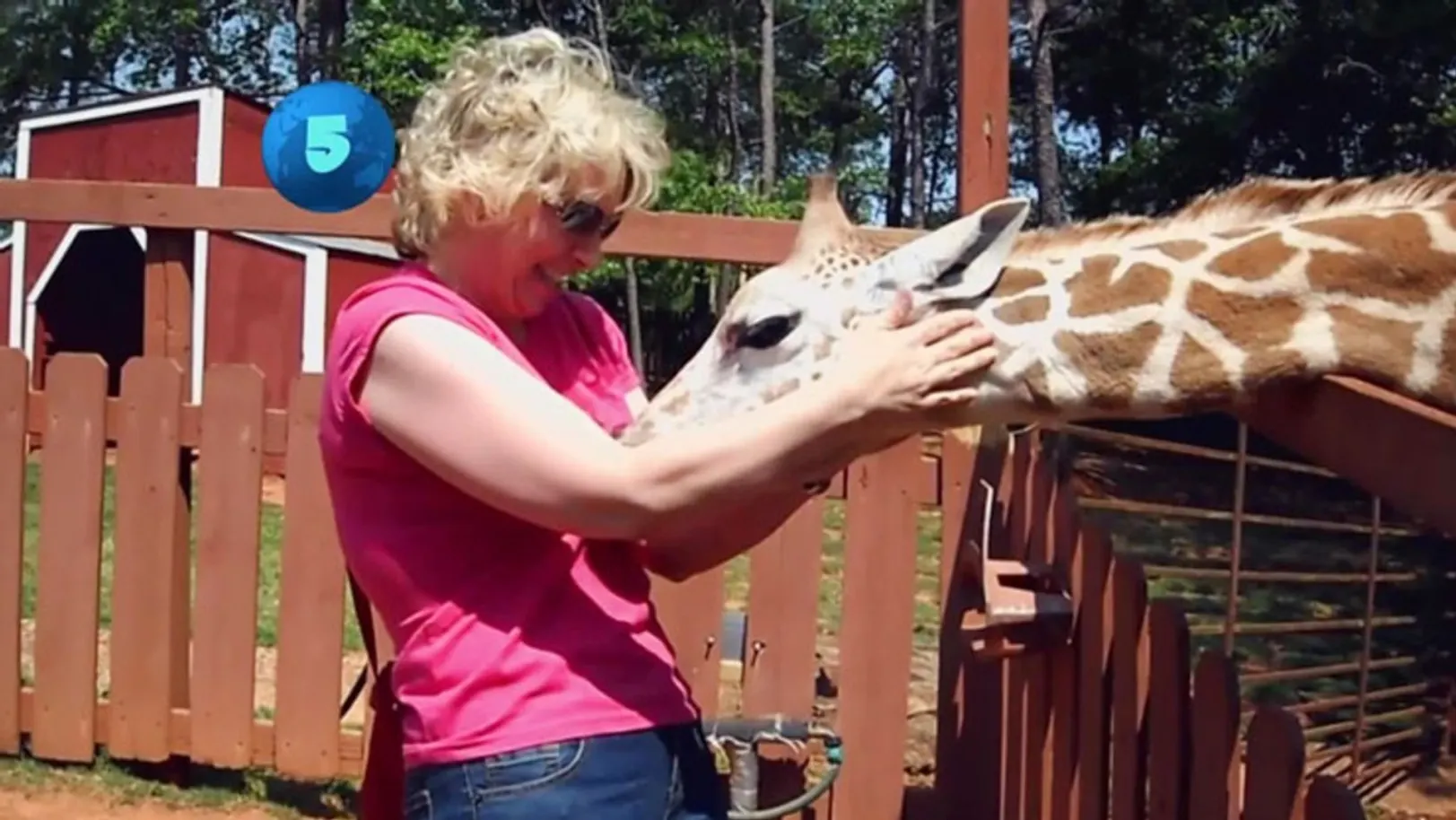 Top 10 Funny Animal Videos Episode 4 Top 10 Funny Animal Videos Episode 4