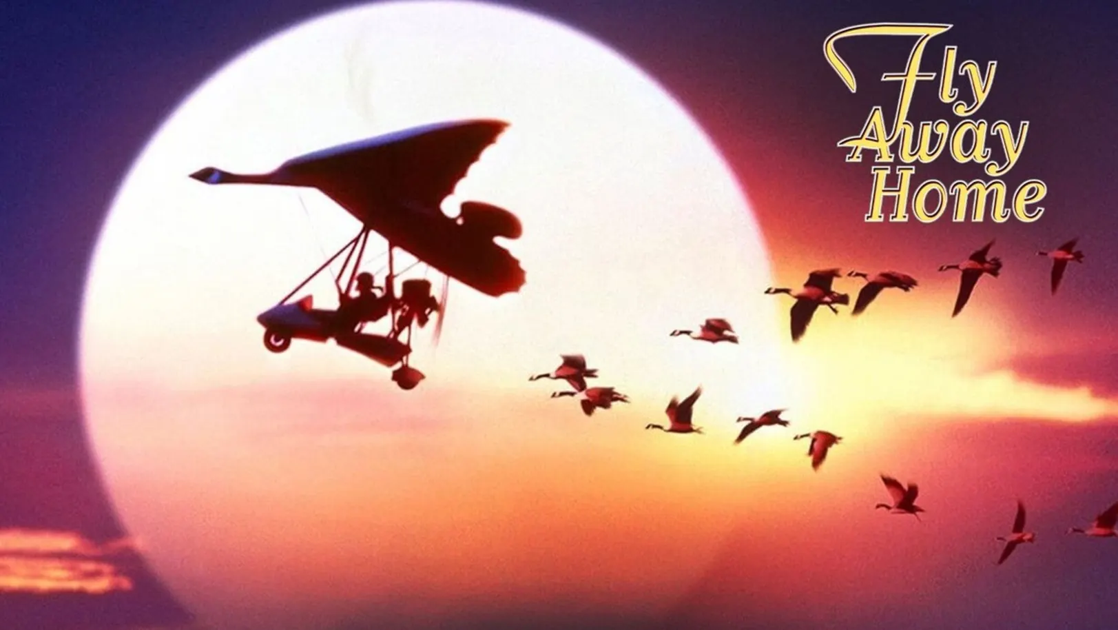 Fly Away Home Streaming Now On &Prive HD