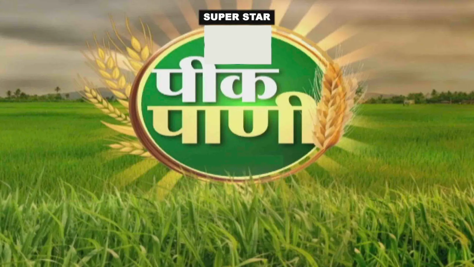 Zatpat & pikpani Streaming Now On Zee 24 Taas