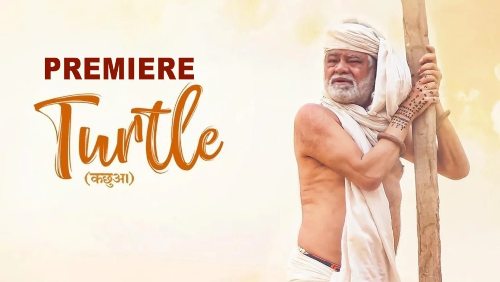 Turtle Streaming Now On &xplorHD