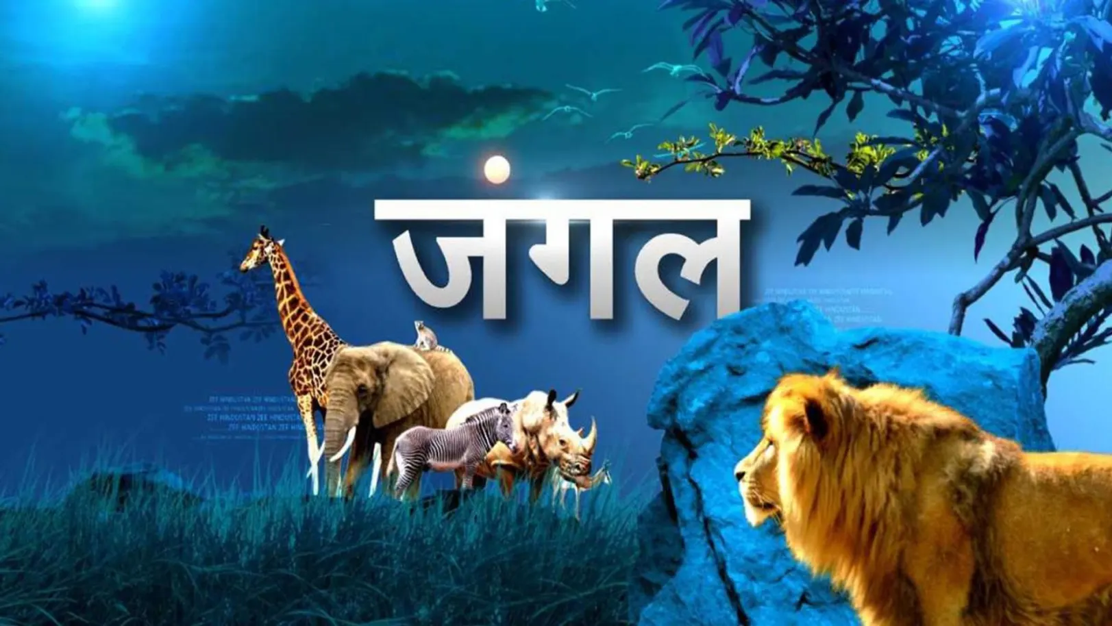 Jungle Streaming Now On Zee Bharat