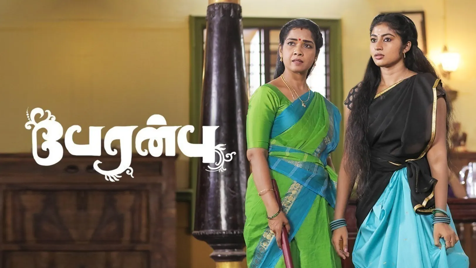 Ram In Peranbu TV Show