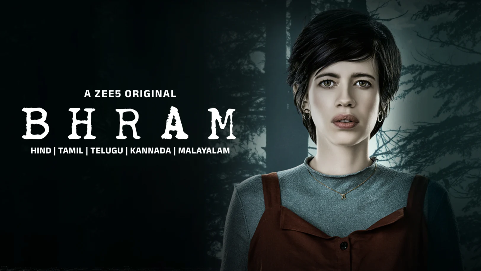 Bhram Web Series