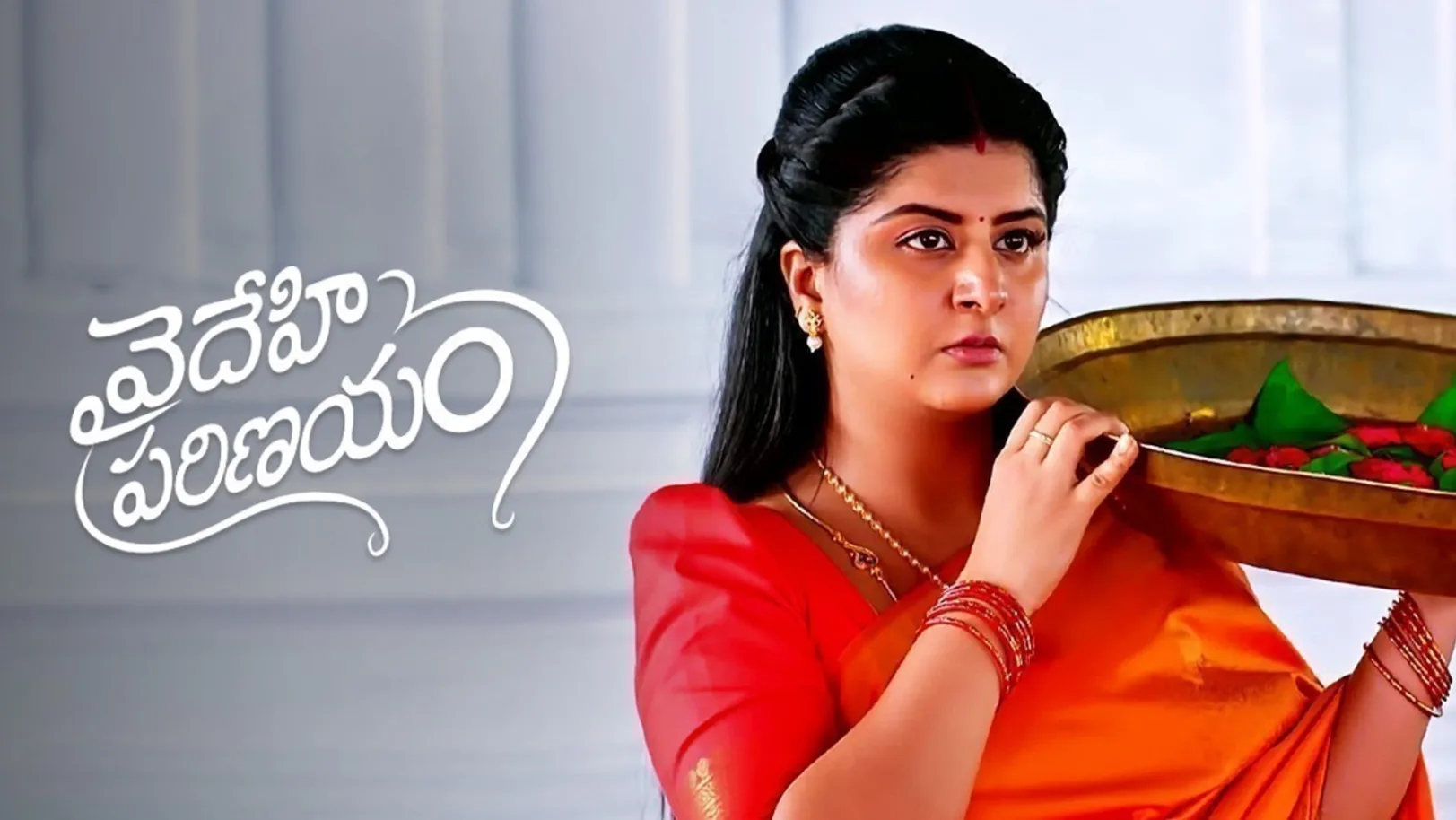 Vaidehi Parinayam TV Show