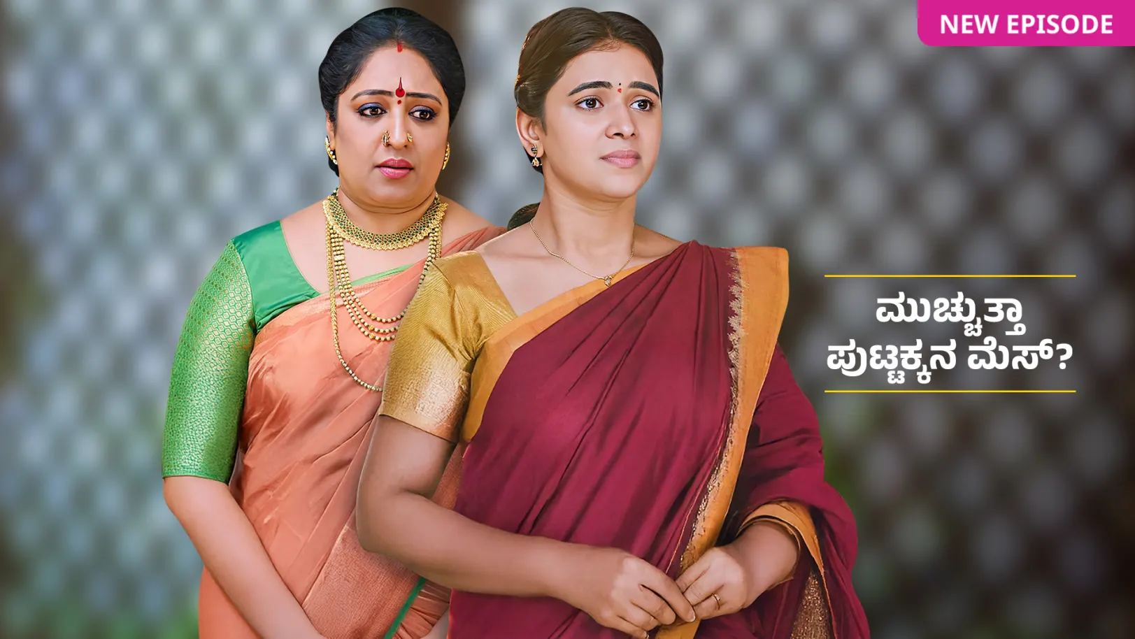 Puttakkana Makkalu TV Show