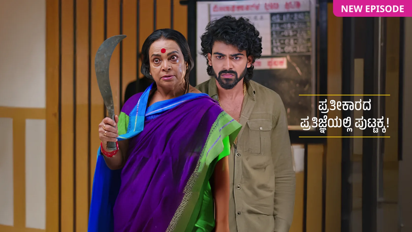 Puttakkana Makkalu TV Show