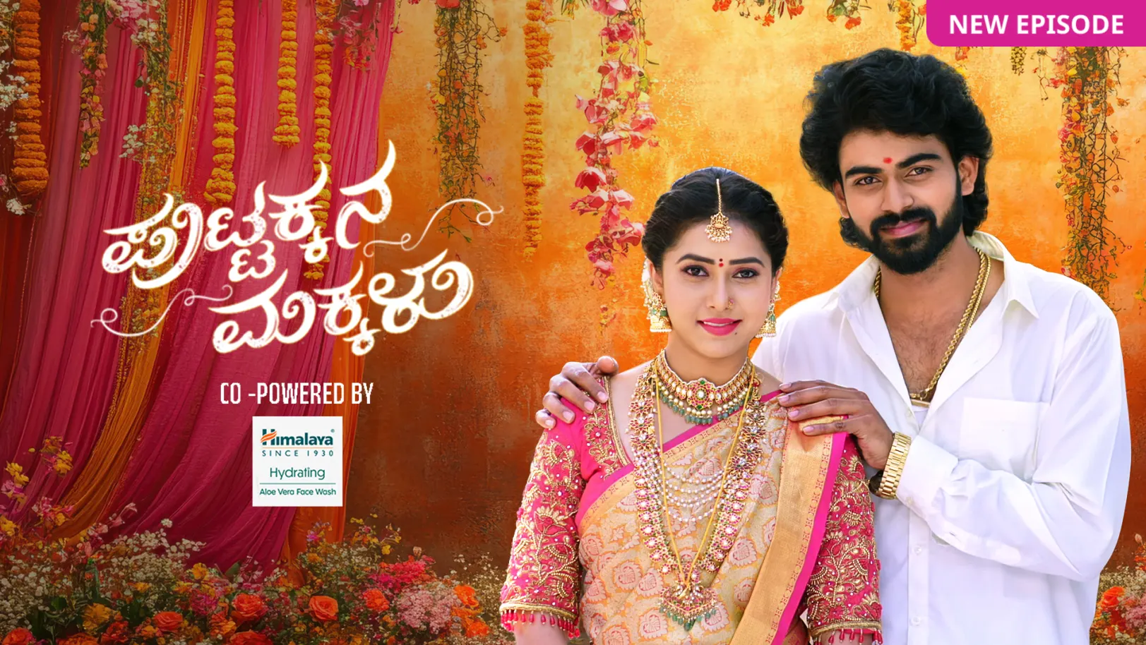 Puttakkana Makkalu TV Show