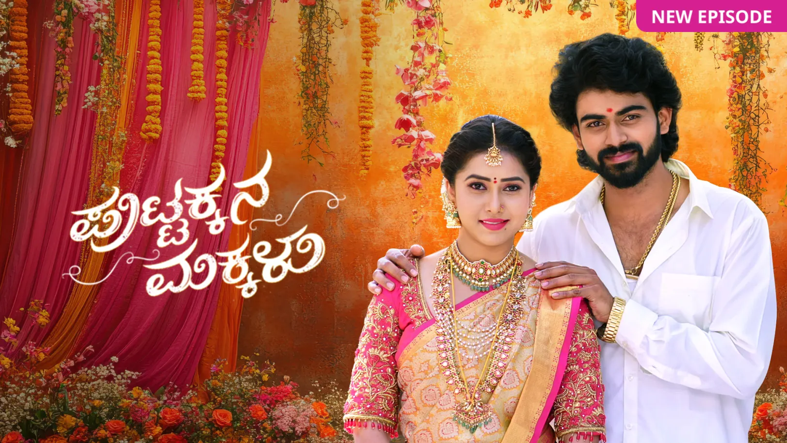 Puttakkana Makkalu TV Show