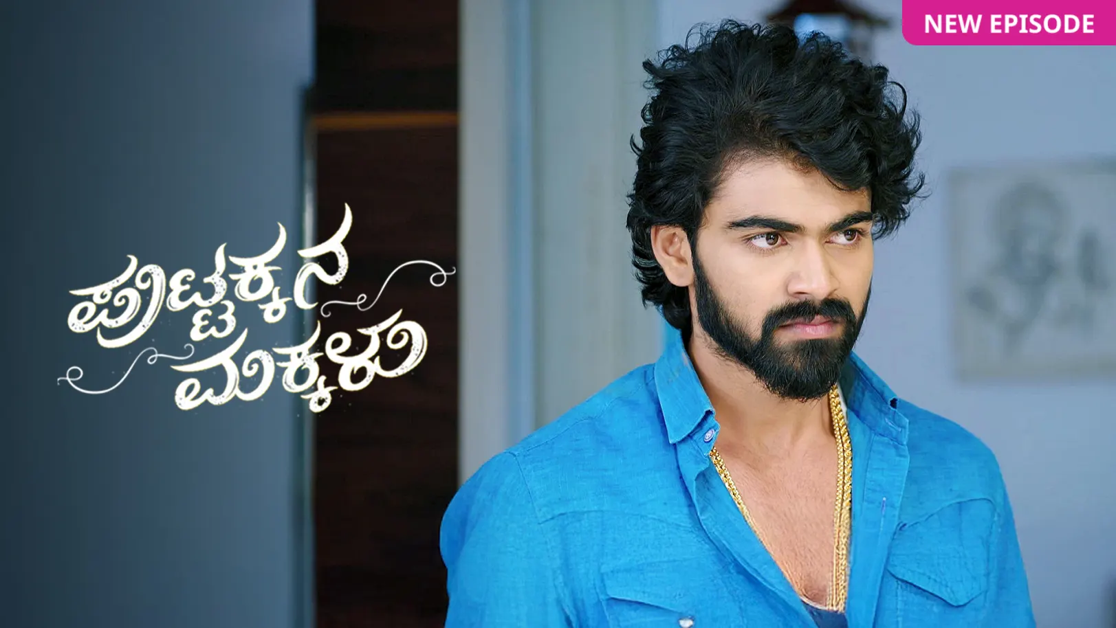 Puttakkana Makkalu TV Show