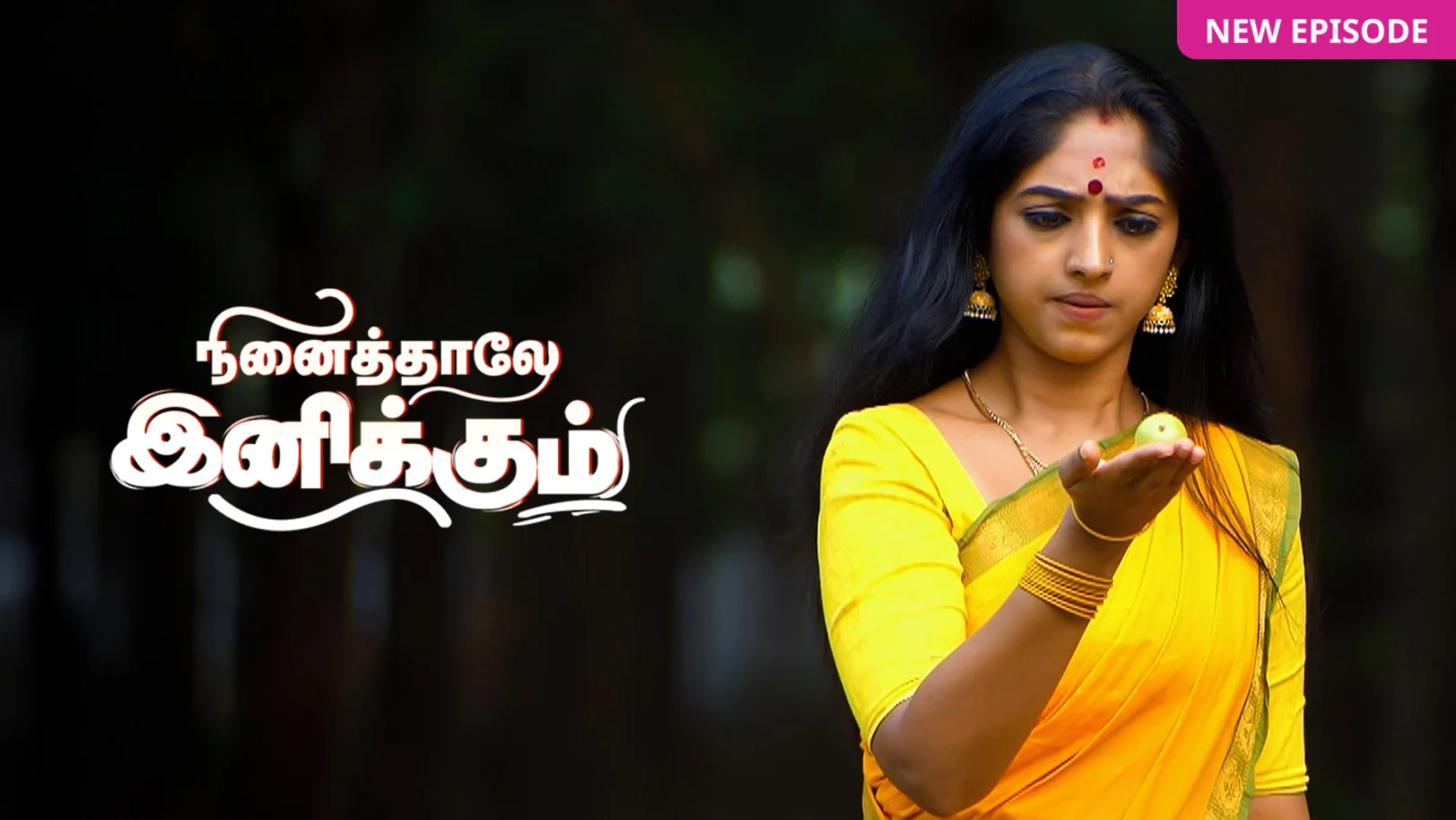 Watch Ayali Web Series All Episodes Online in HD On ZEE5