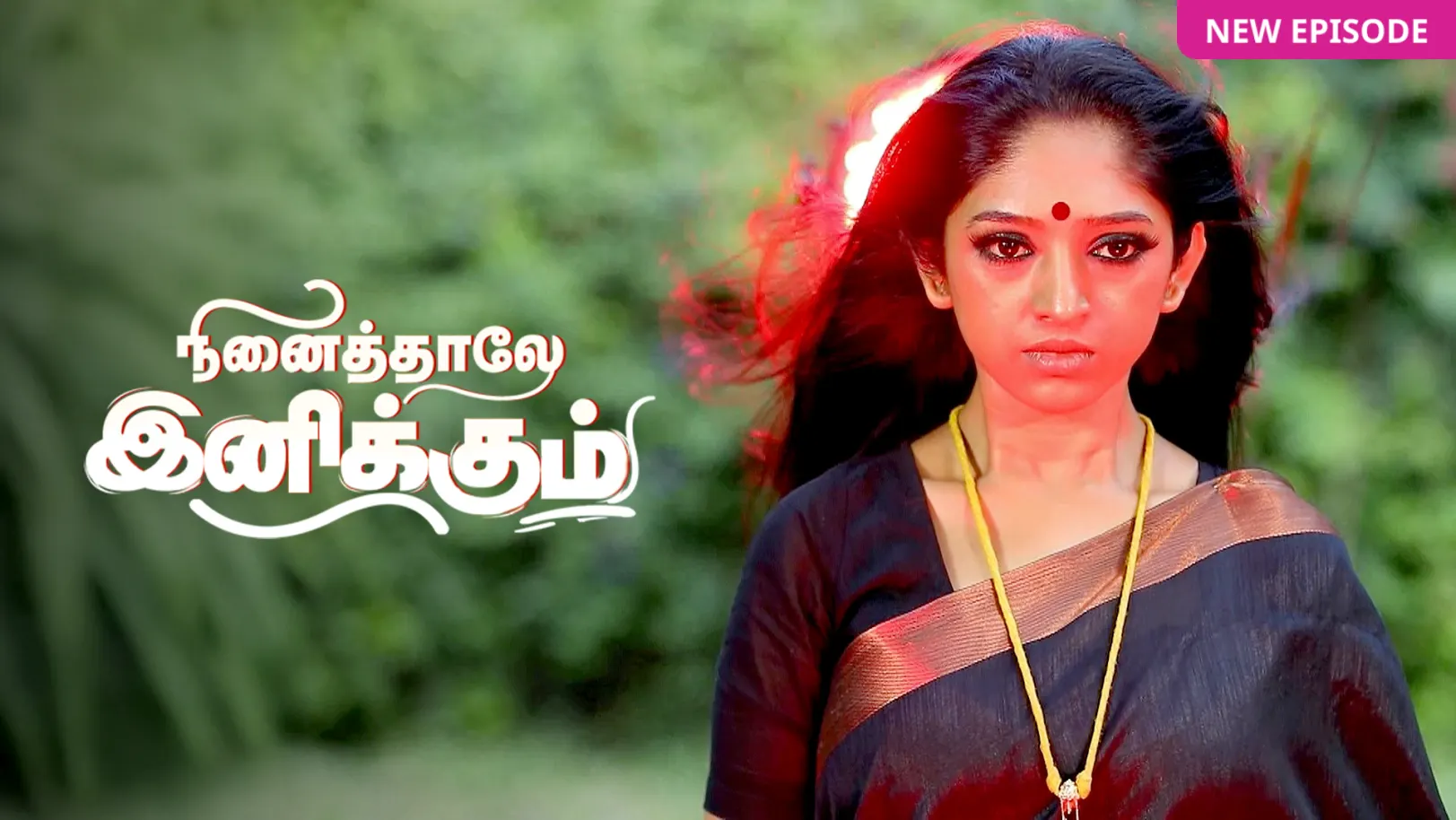Ninaithale Inikkum TV Show