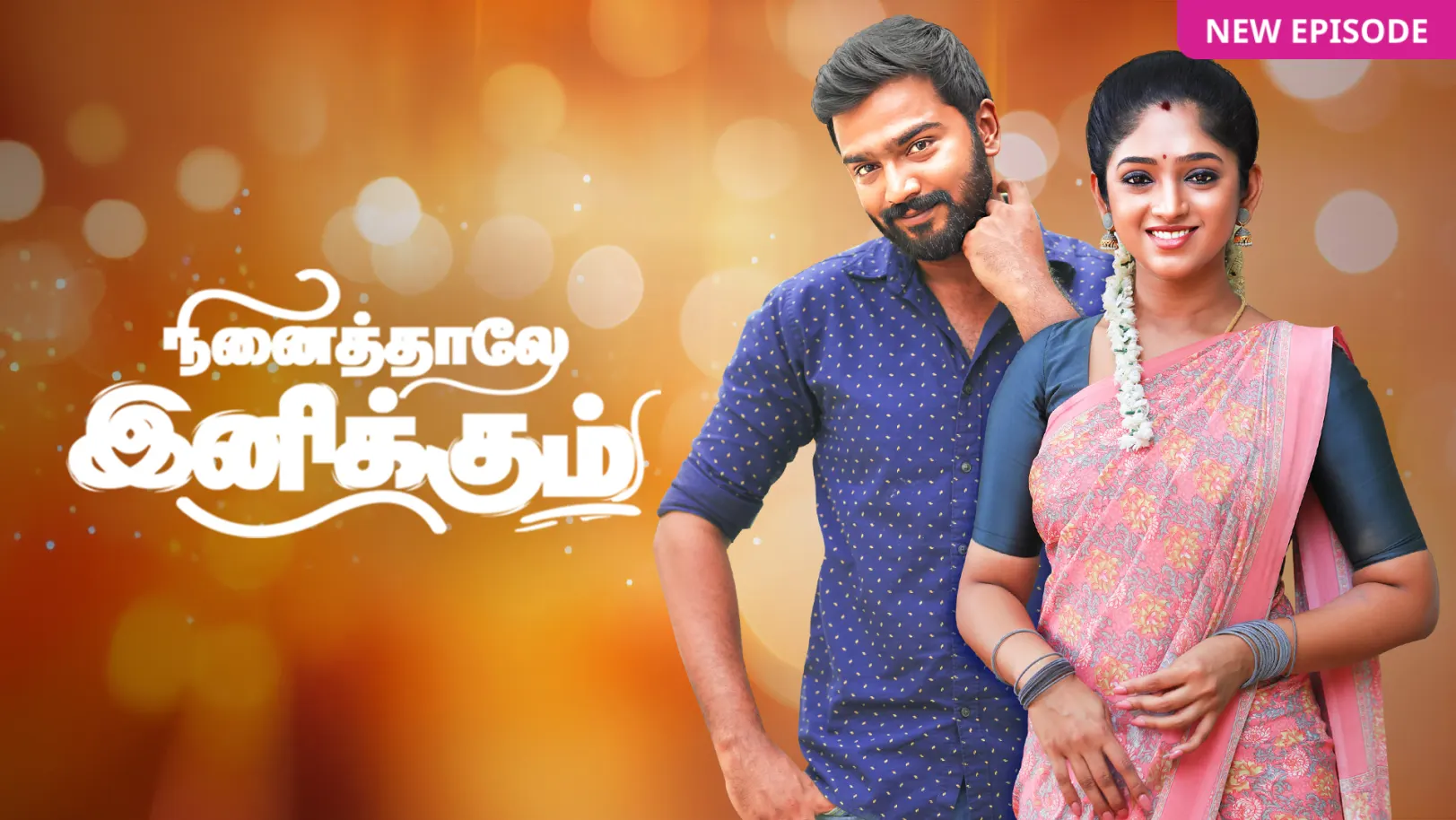 Ninaithale Inikkum TV Show
