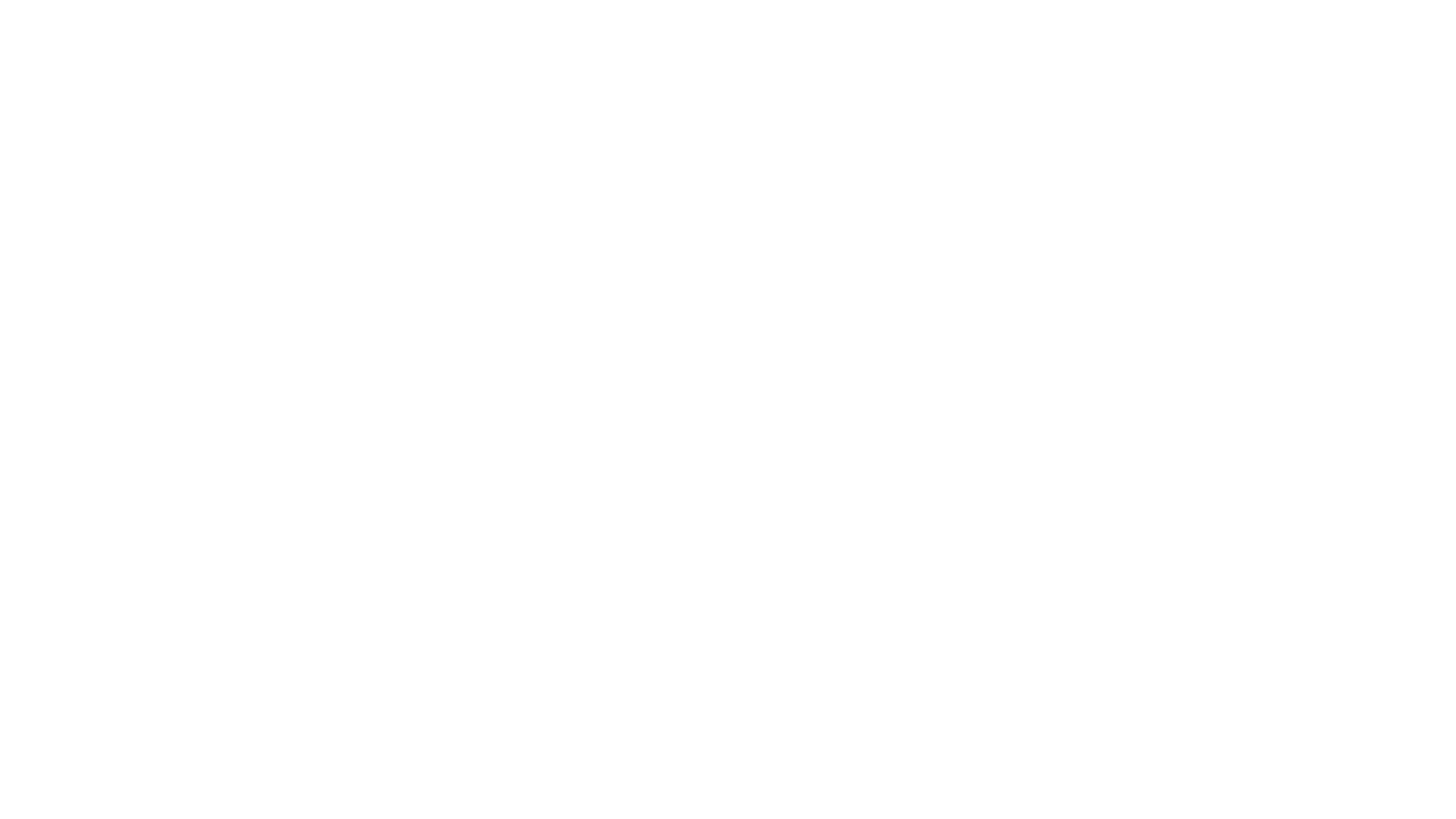 Detective Finnick