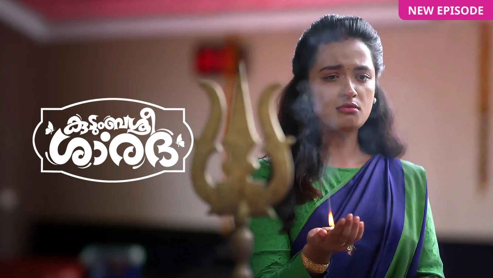 Kudumbashree Sharada TV Show