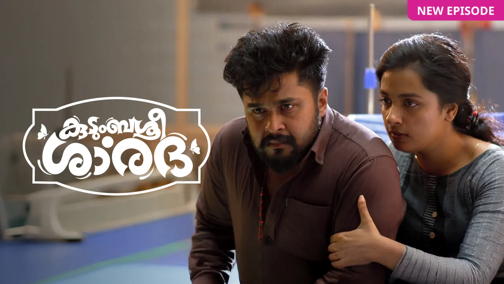 Kudumbashree Sharada TV Show