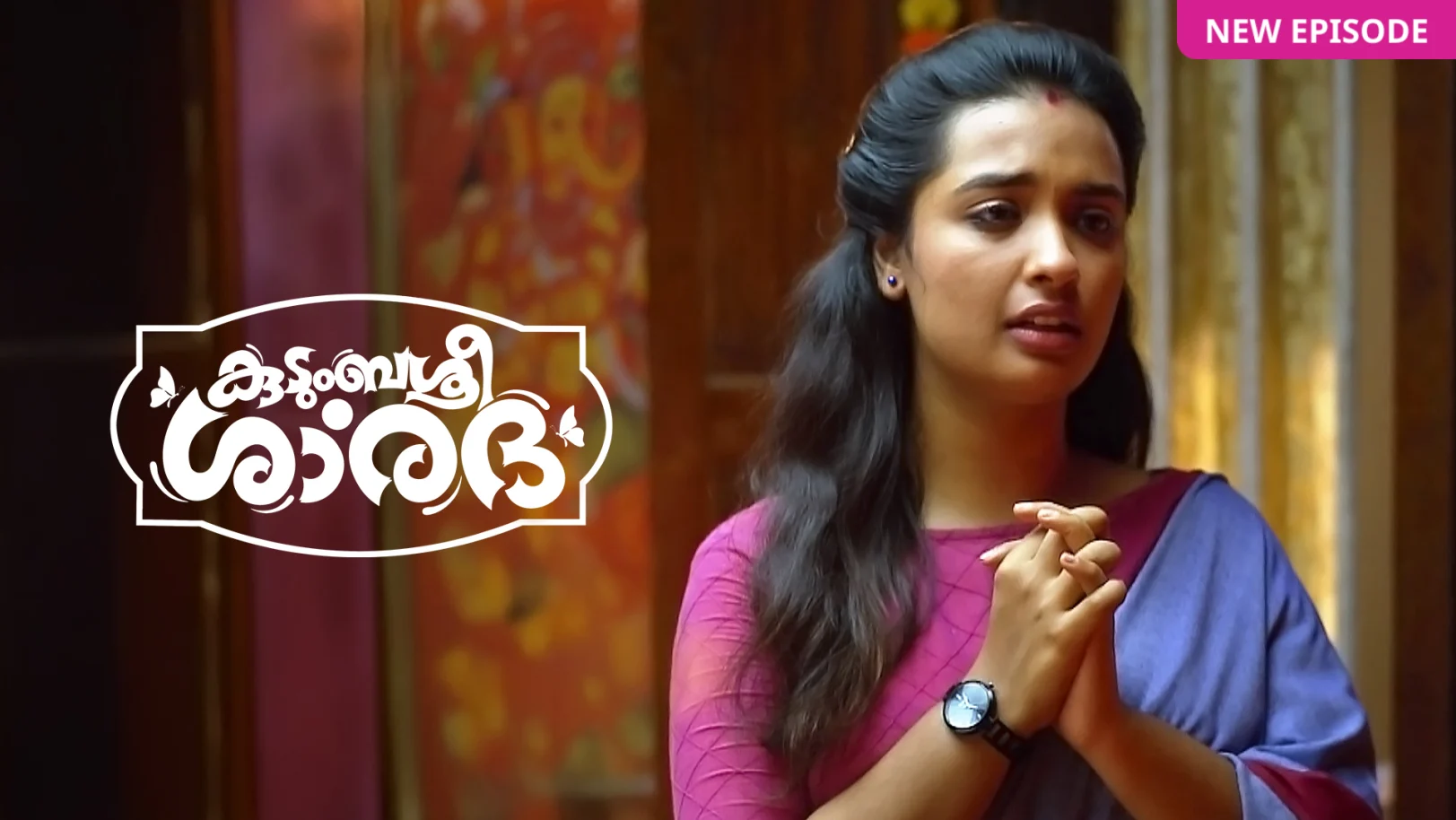 Kudumbashree Sharada TV Show